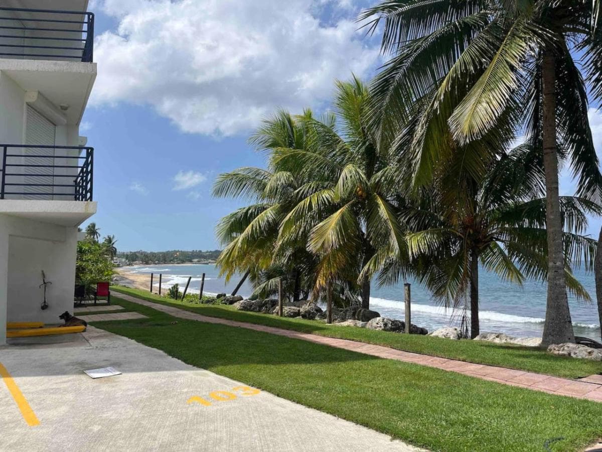 Beachfront Luxury Apartment photo 7