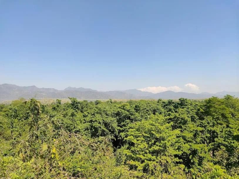 Ghughuti Homestay photo 6