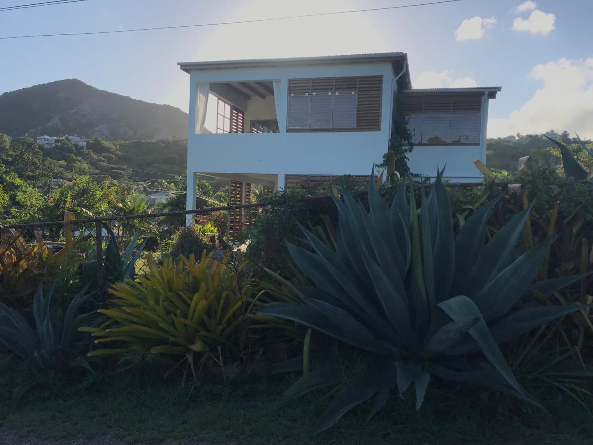 Antigua Blue photo 9