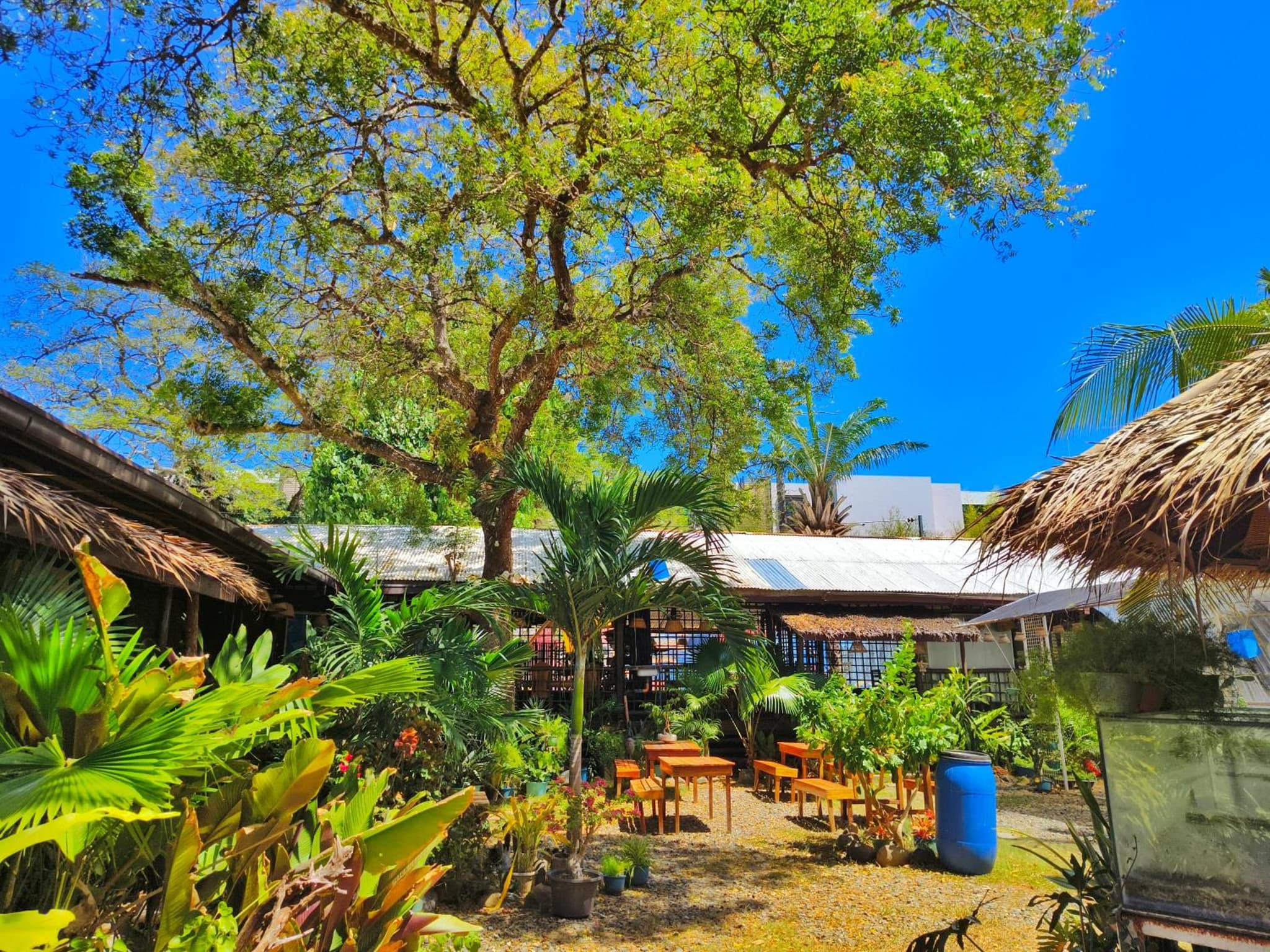 Lokal Hut Bed and Breakfast photo 9