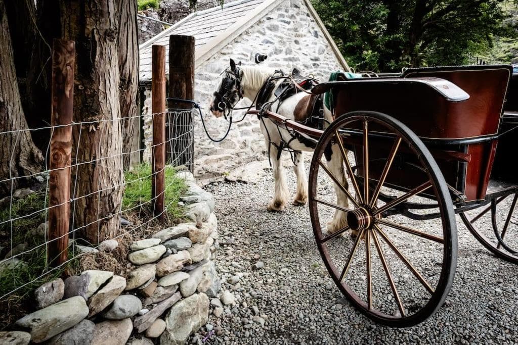 Gap of Dunloe Shepherd's Cottage photo 2