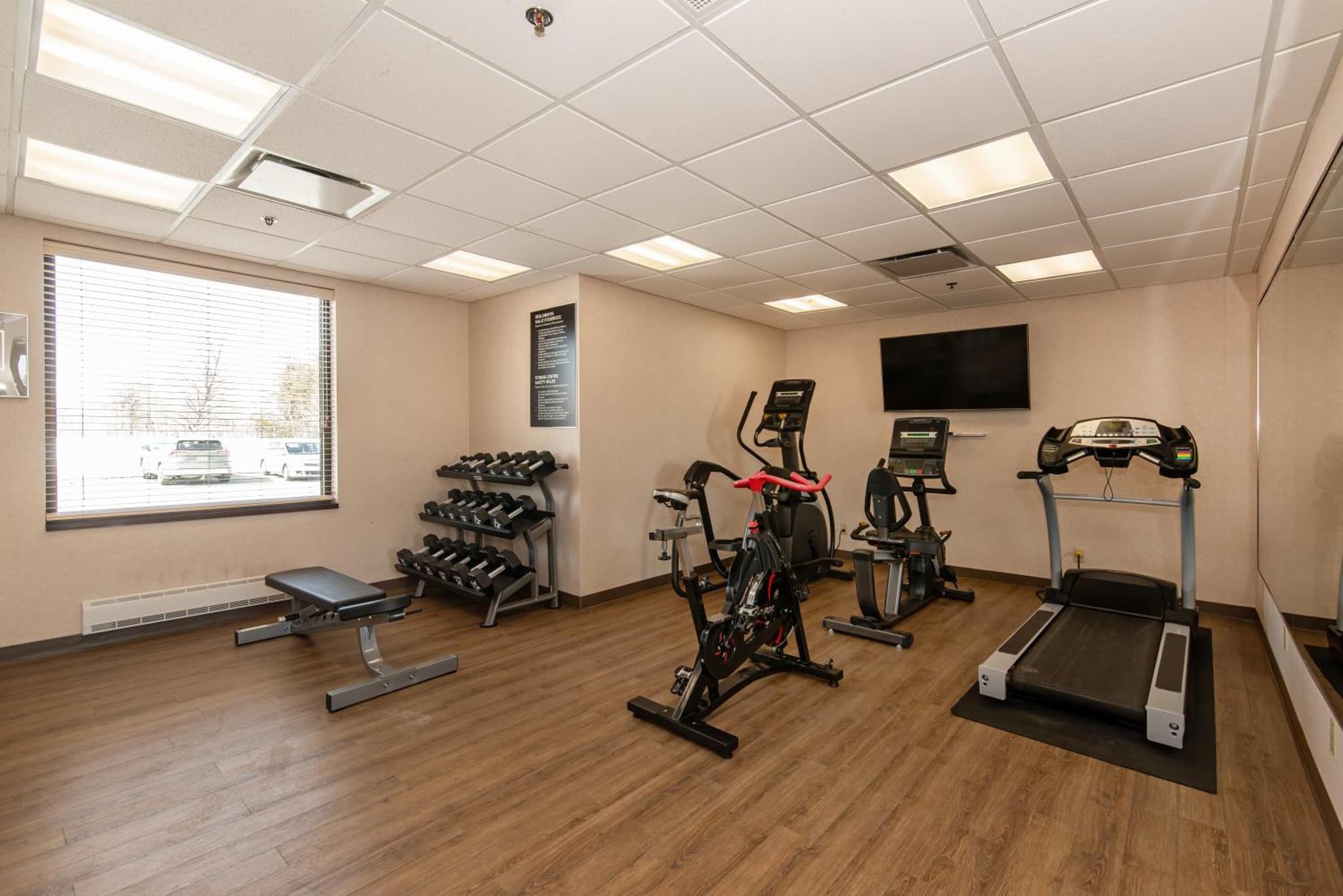 Quality Inn & Suites photo 3