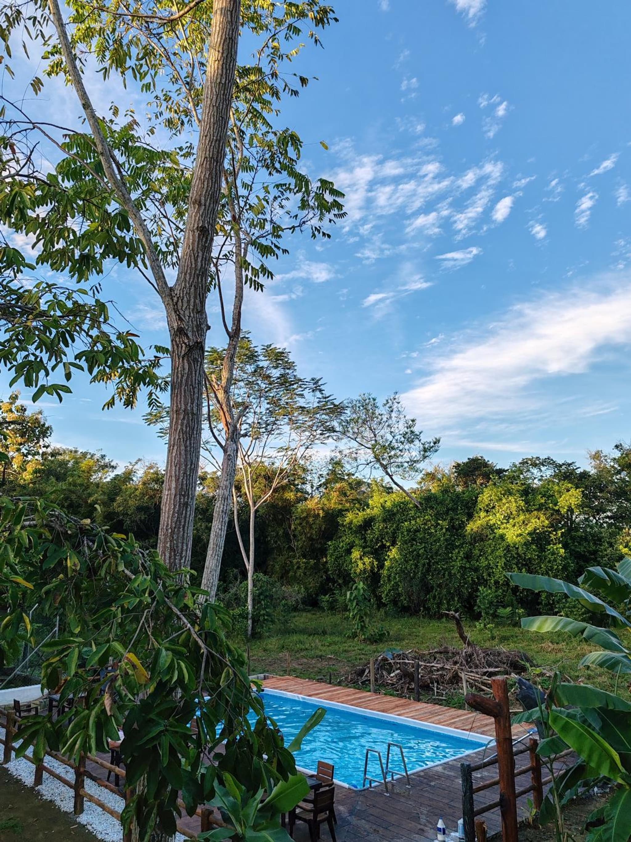 Finca Campestre La Flor photo 7