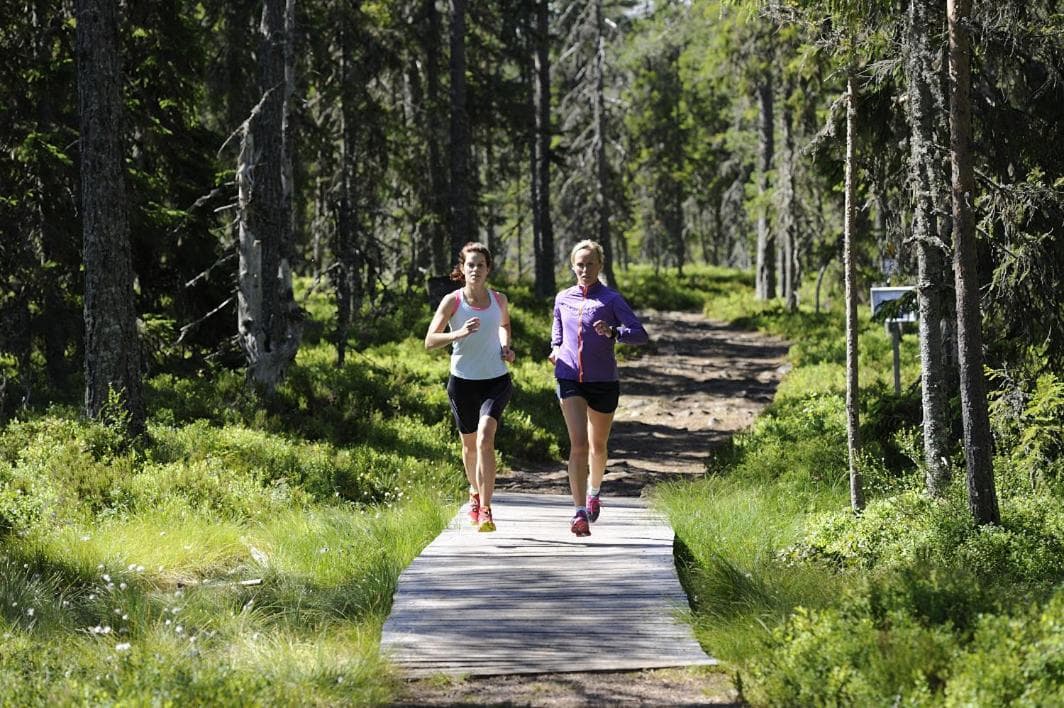 Orsa Grönklitt photo 5