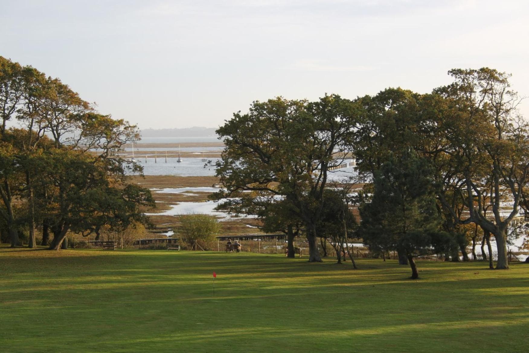The NICI New Forest photo 9