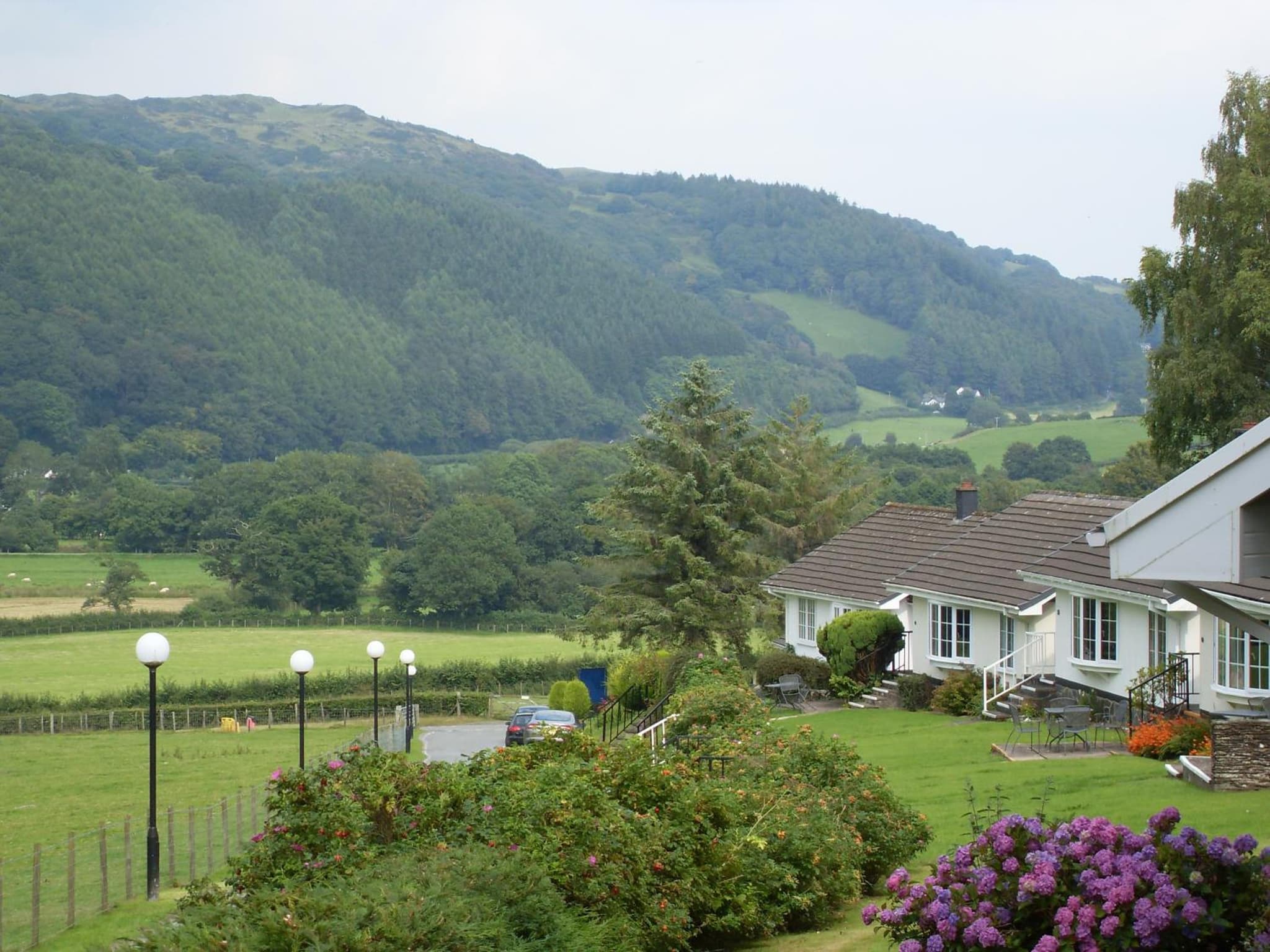 Macdonald Plas Talgarth Resort photo 3