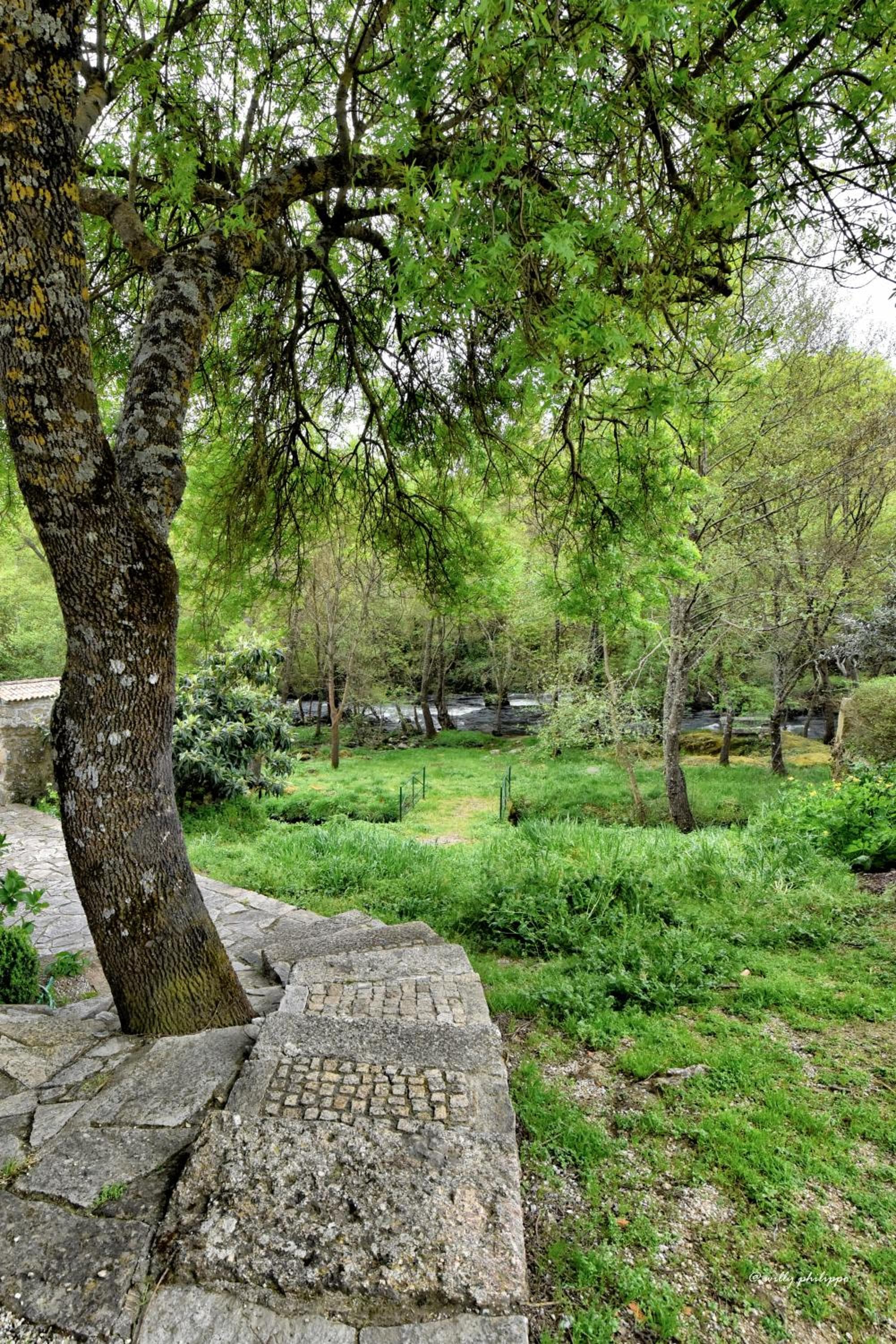 Quinta Do Moinho Turismo de Natureza photo 4