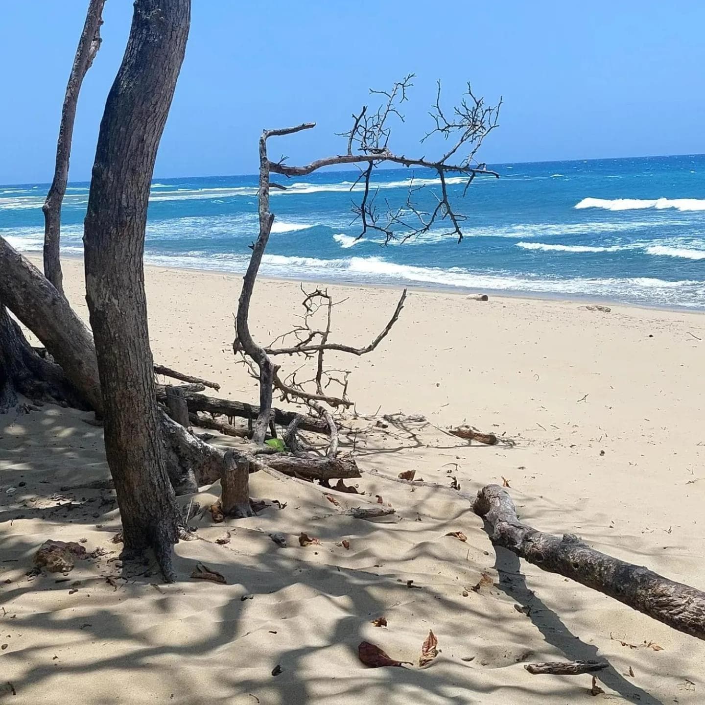 ENCUENTRO BEACH STUDIO- residencia Ocean Winds photo 8