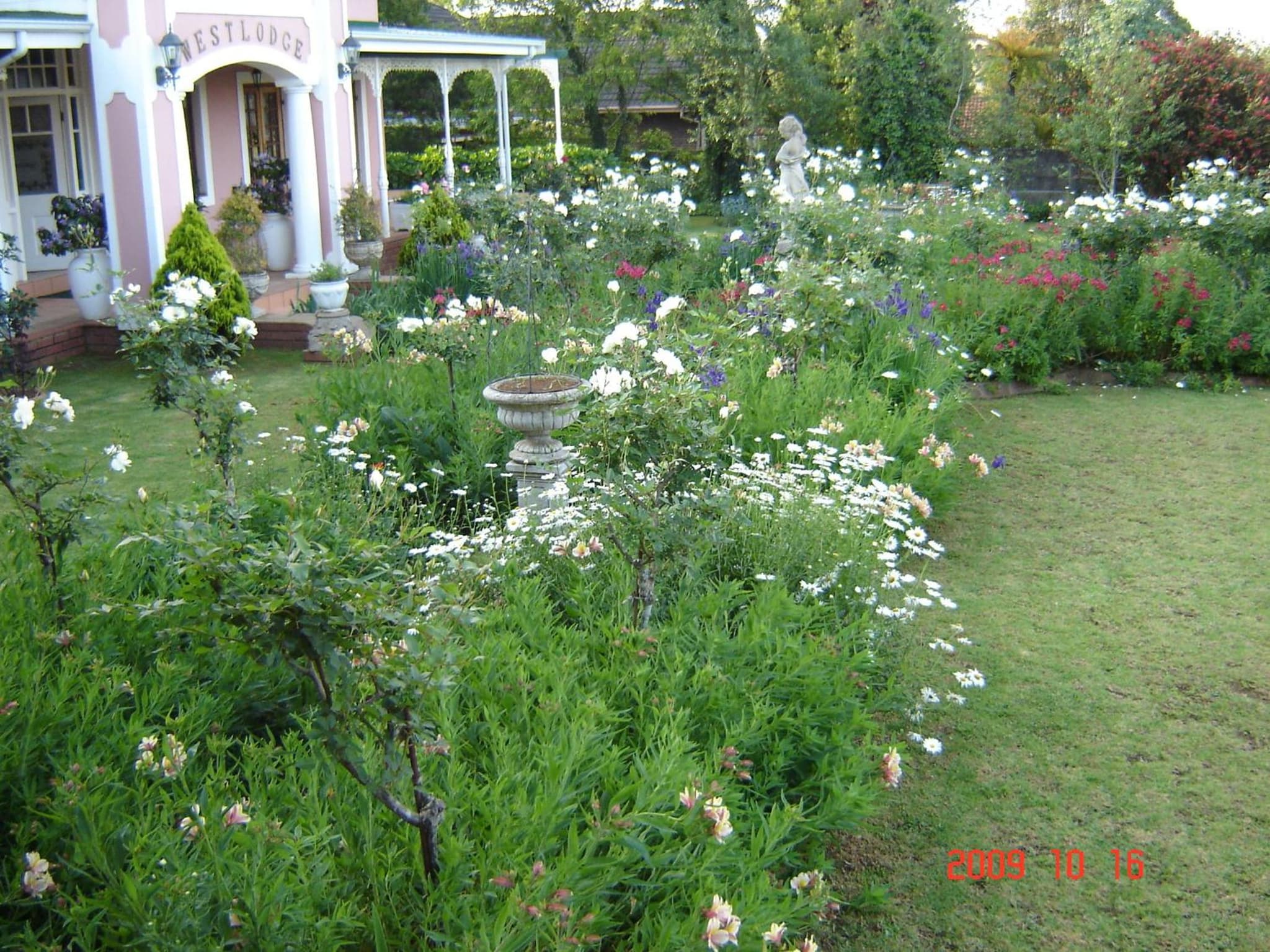 Westlodge at Graskop B&B photo 8