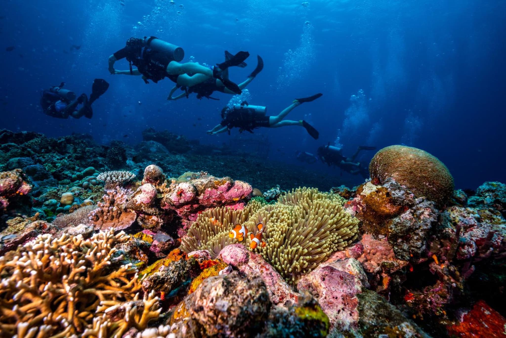 Trawangan Dive Centre photo 5