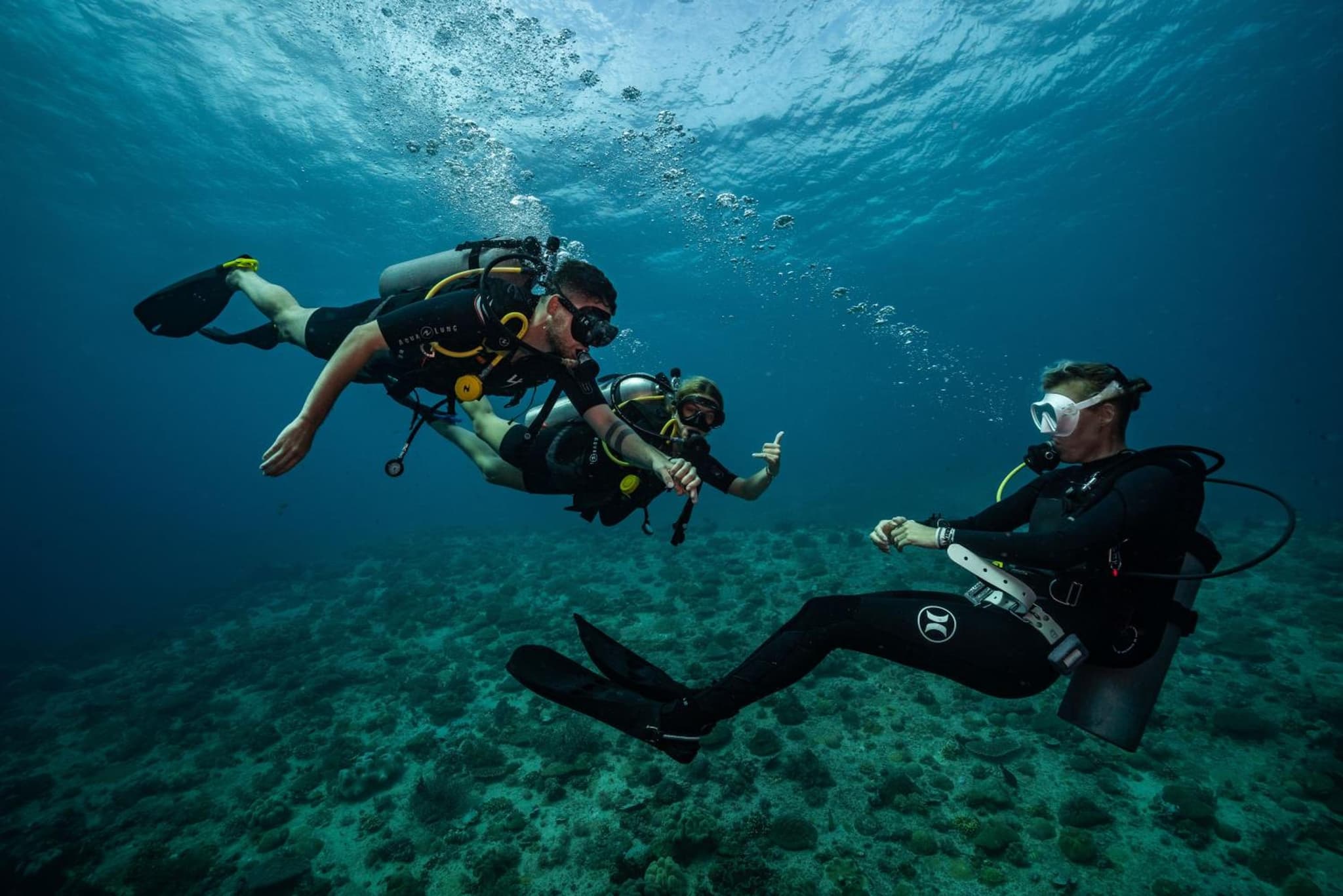 Trawangan Dive Centre photo 7
