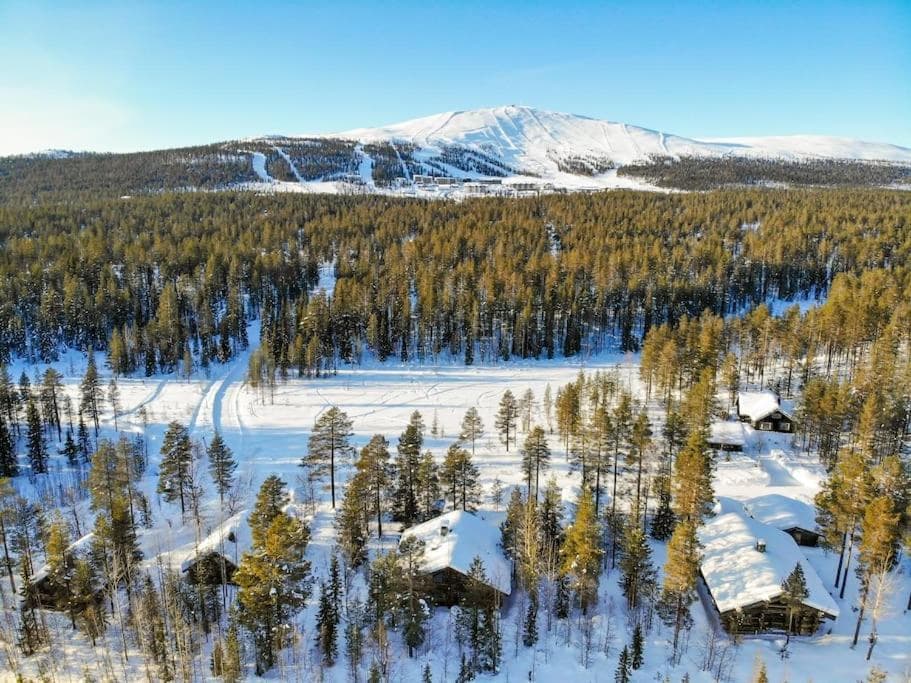 Charming Chalet in Ylläs skiresort photo 4