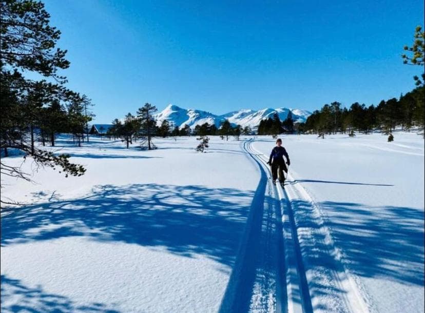 Ny hytte i Malangen photo 7