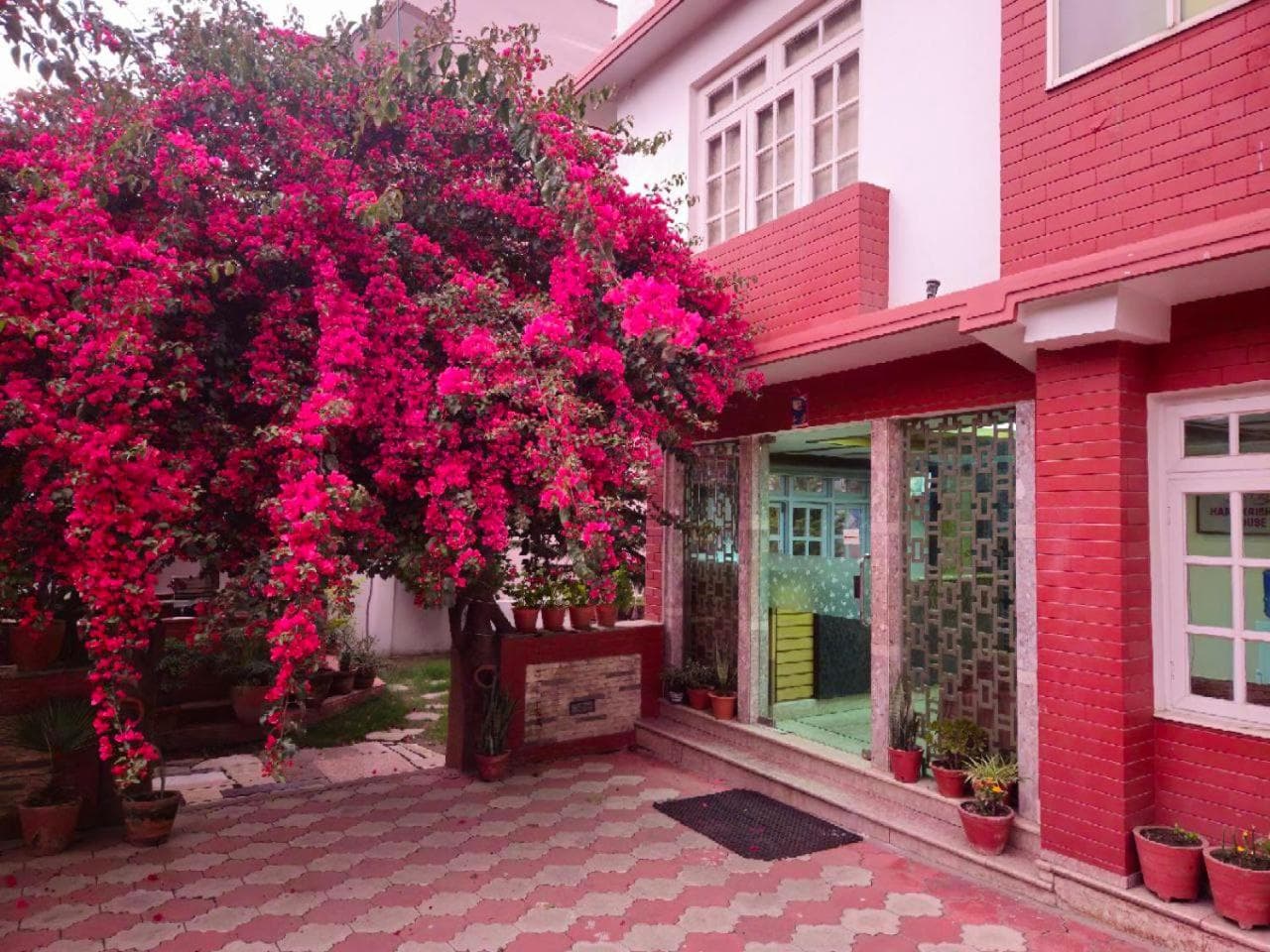 Hare Krishna House photo 8