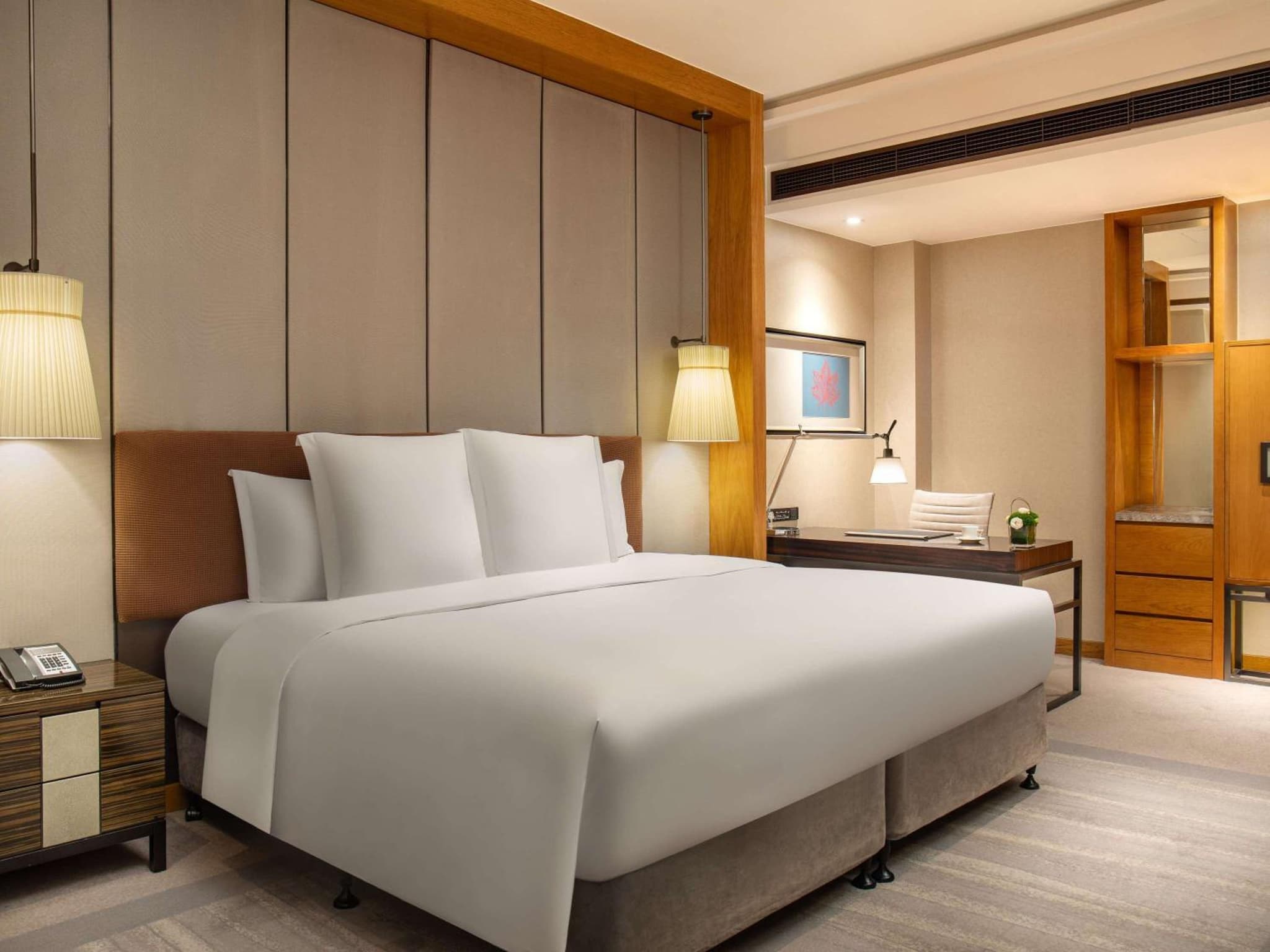 Pullman Haining photo 6