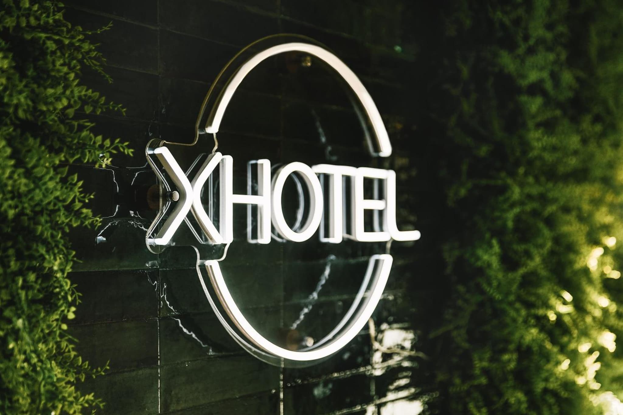 xhotel photo 8