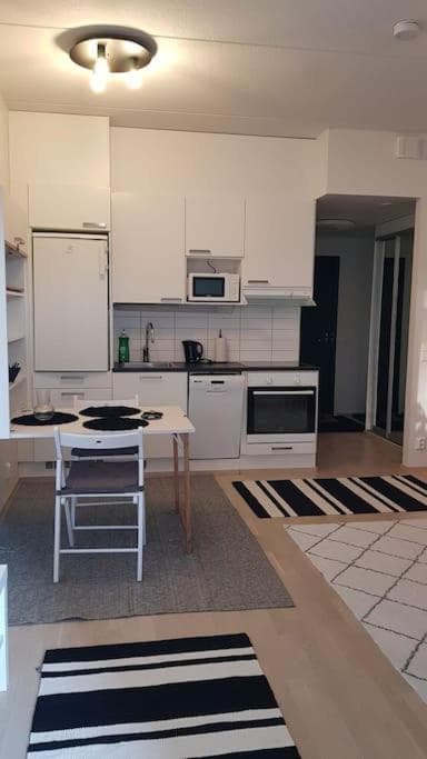 Cozy Studio in Vantaa photo 4