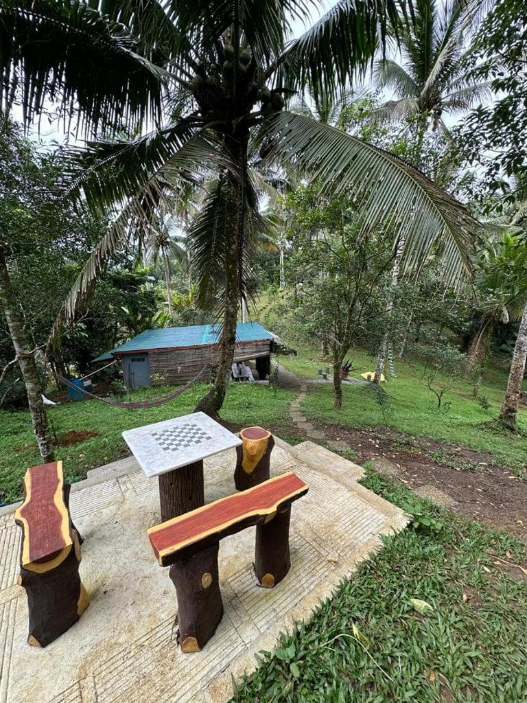 Elnora's Farm photo 2