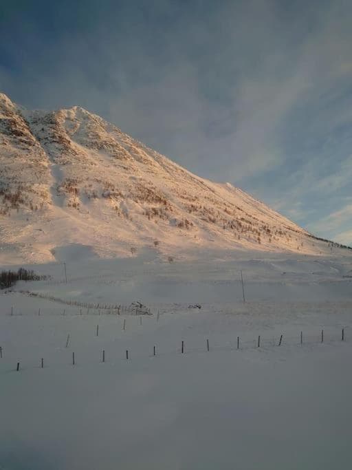Russelv panorama photo 4