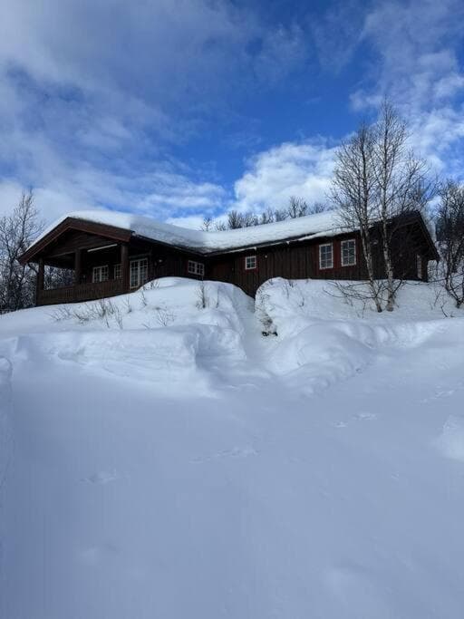Nostalgi i Stakkstølie photo 3