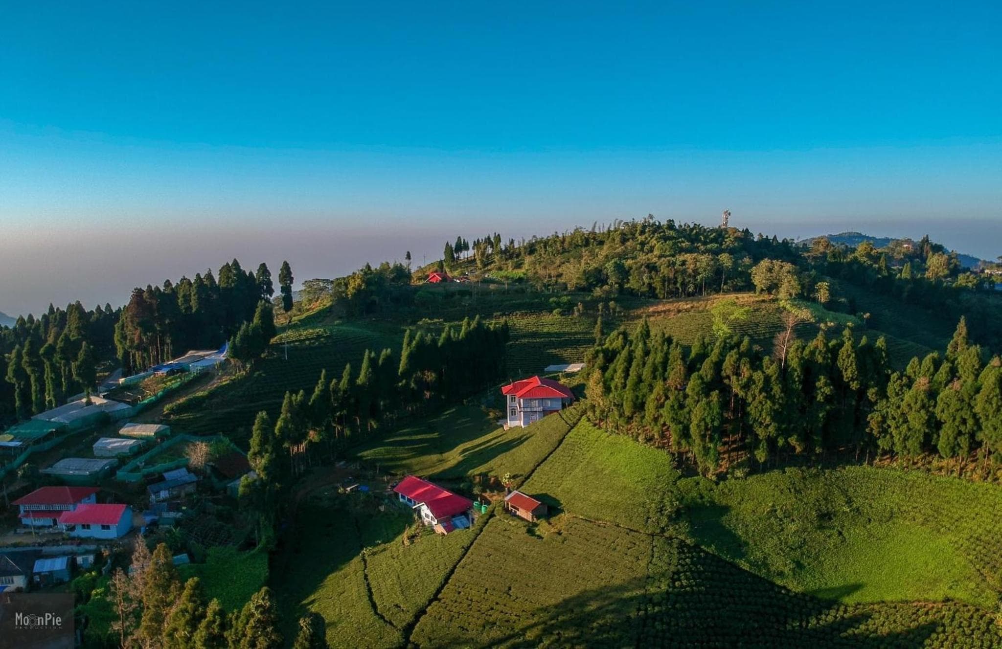 The Ridge Homestay