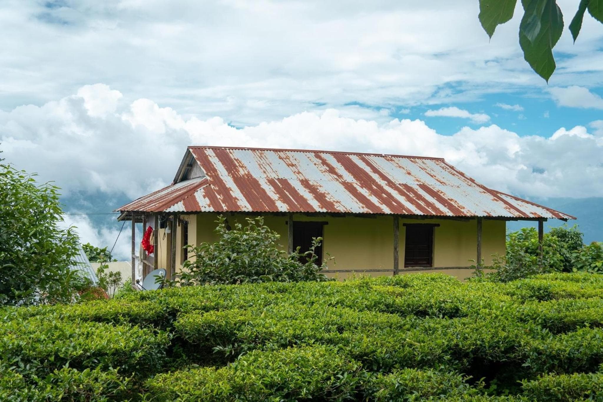 The Ridge Homestay photo 4