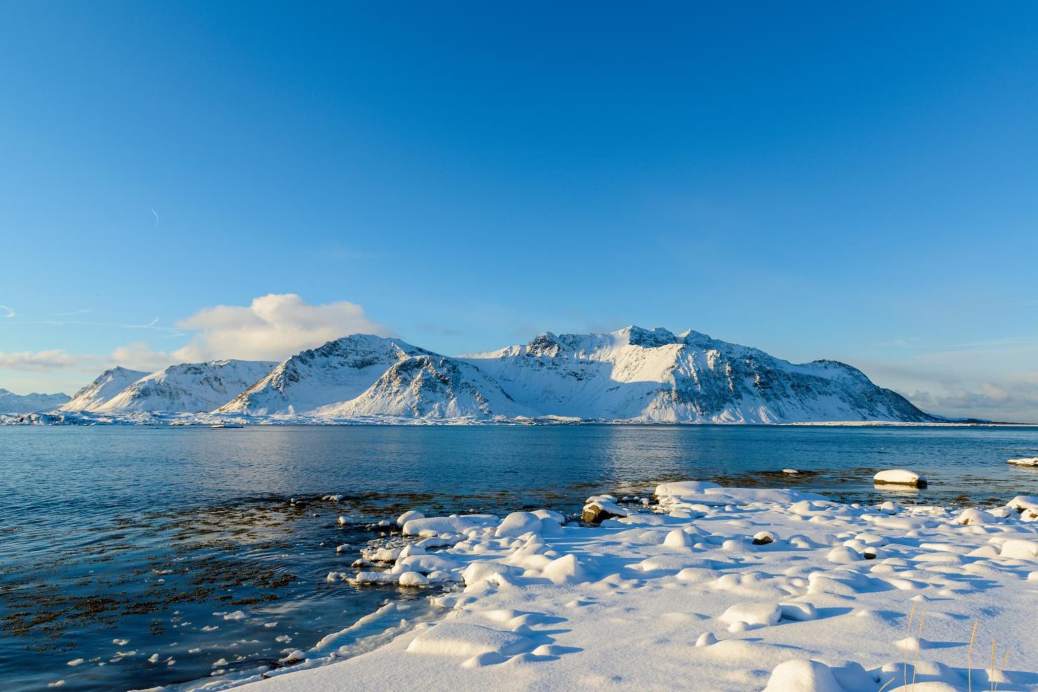 Lillevik Lofoten photo 2