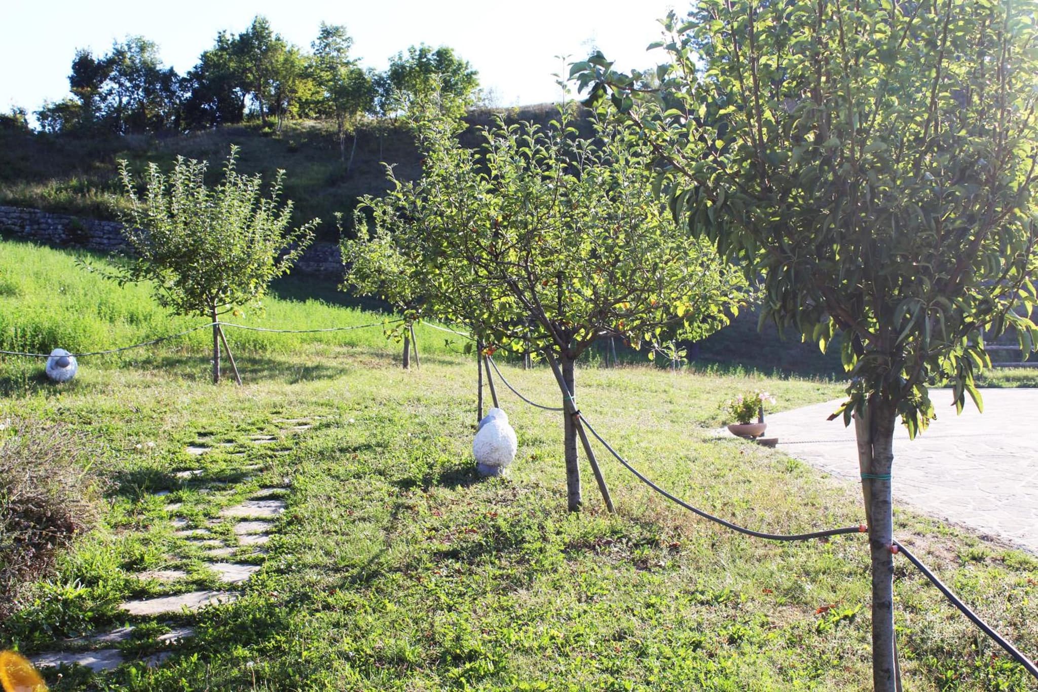 Ca' Nobili - Charming Country House photo 8