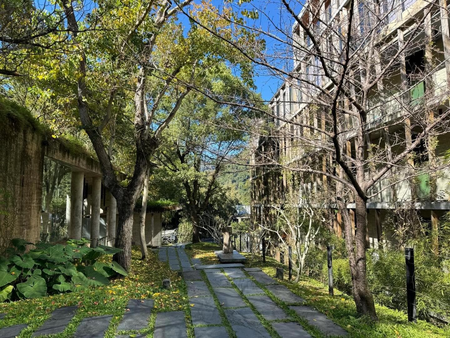 Onsen Papawaqa photo 8