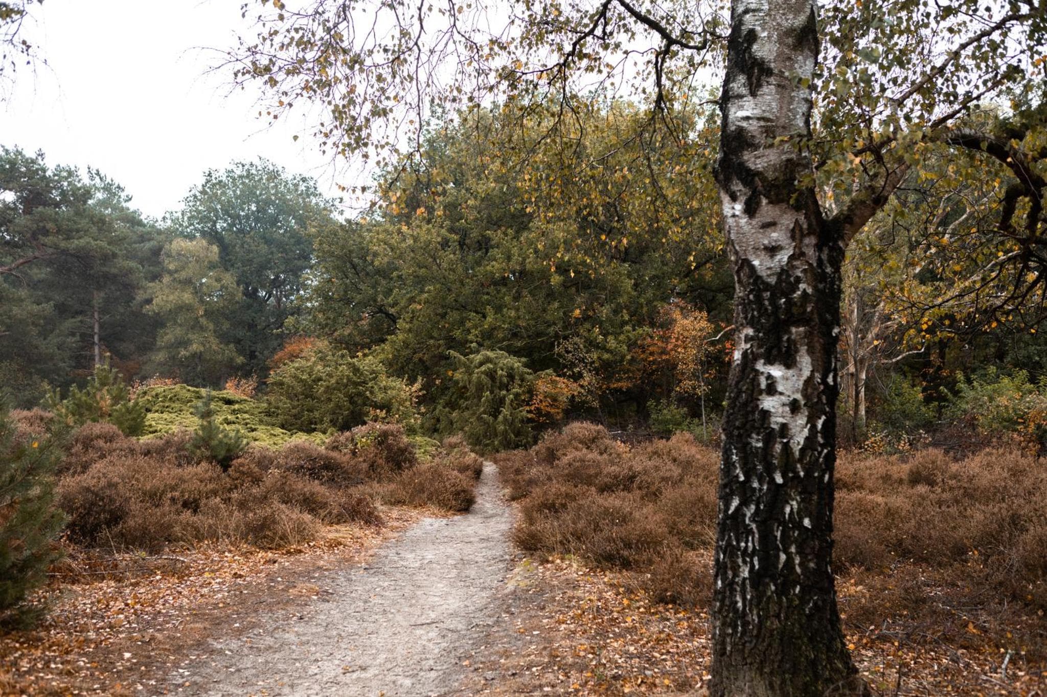 Landleven Luttenberg photo 9
