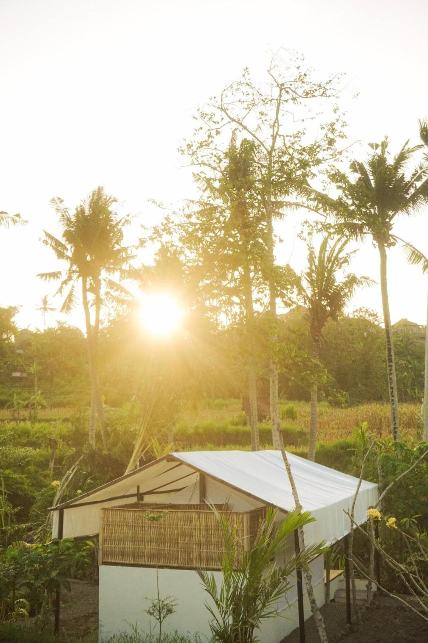 Camani Glamping photo 3