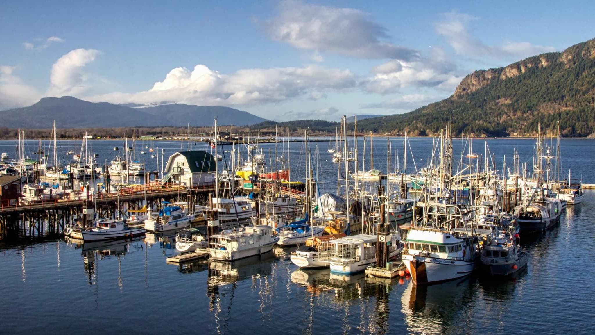 Oceanfront Suites at Cowichan Bay photo 9