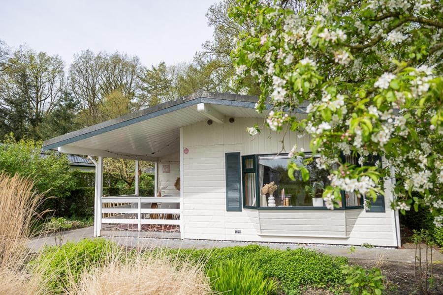 Leva - Logeren in Drenthe photo 7