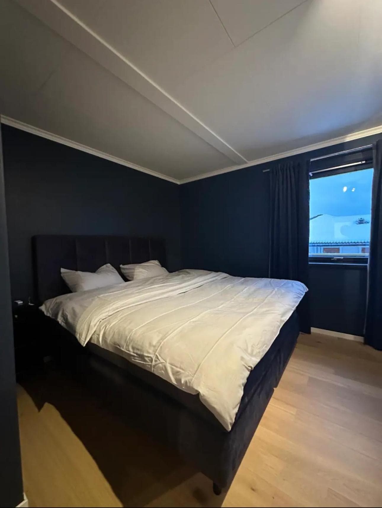 Newly Renovated Centrum House with Large Balcony photo 8