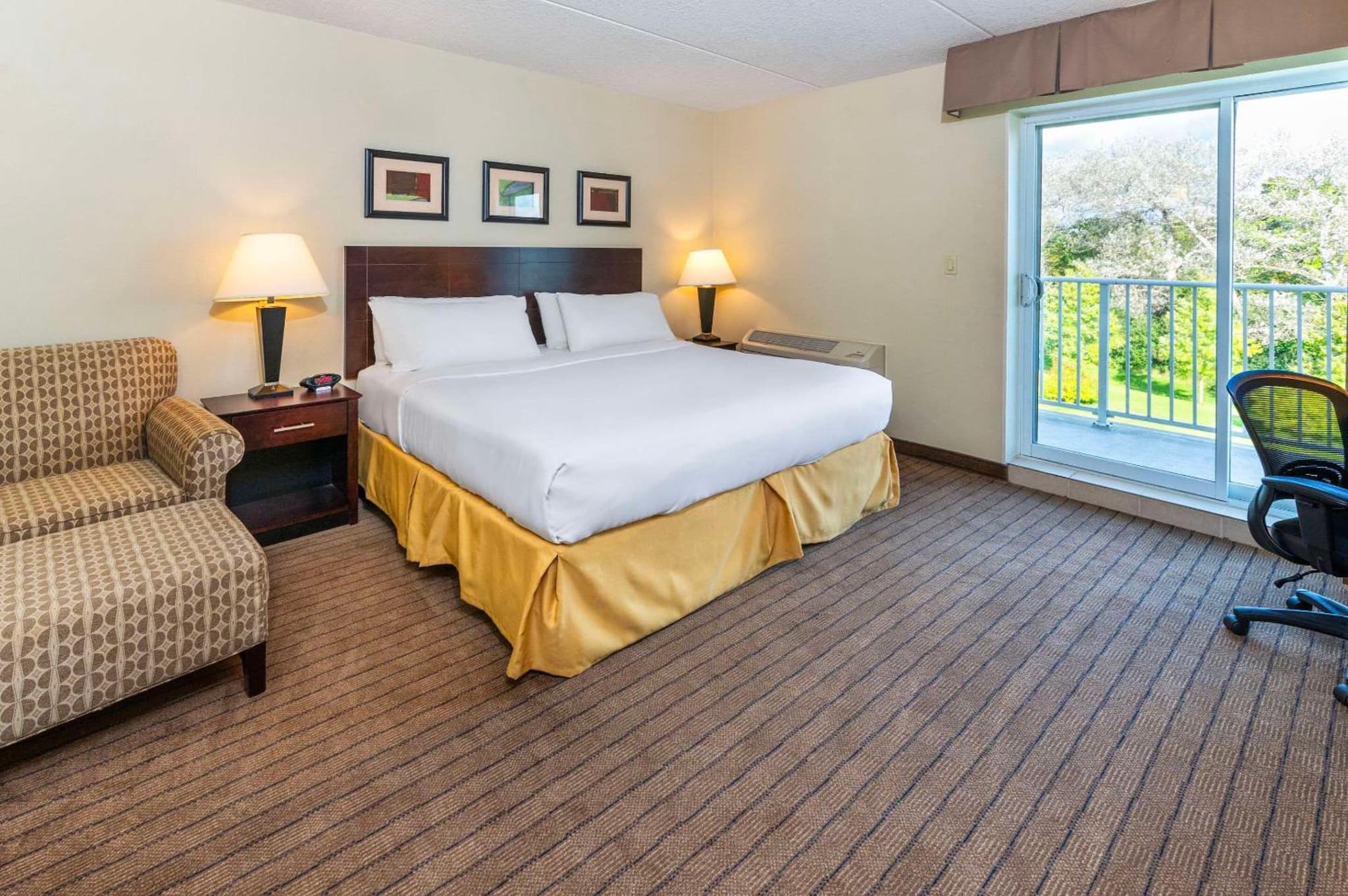 Comfort Inn & Suites photo 4