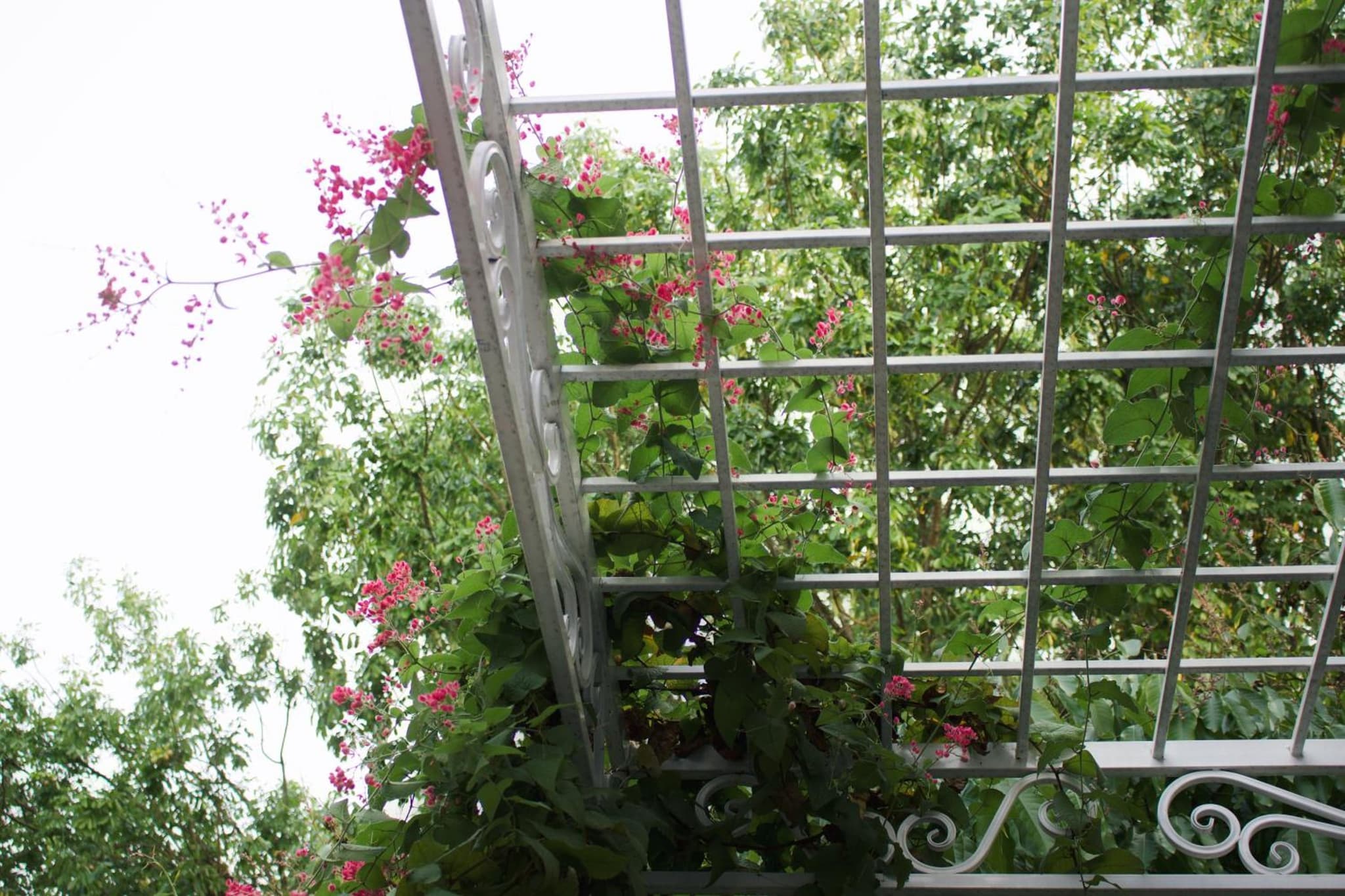 Indigen Boutique Hotel Cao Bang photo 2