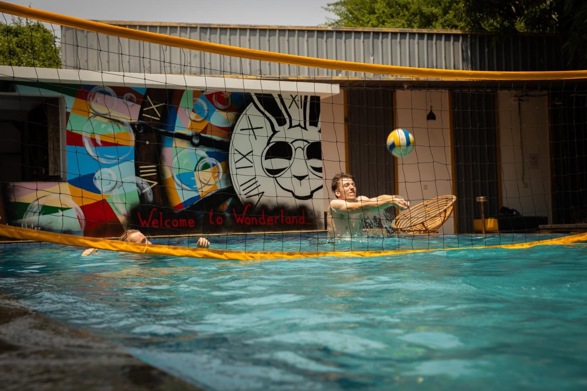 White Rabbit Hostel photo 7