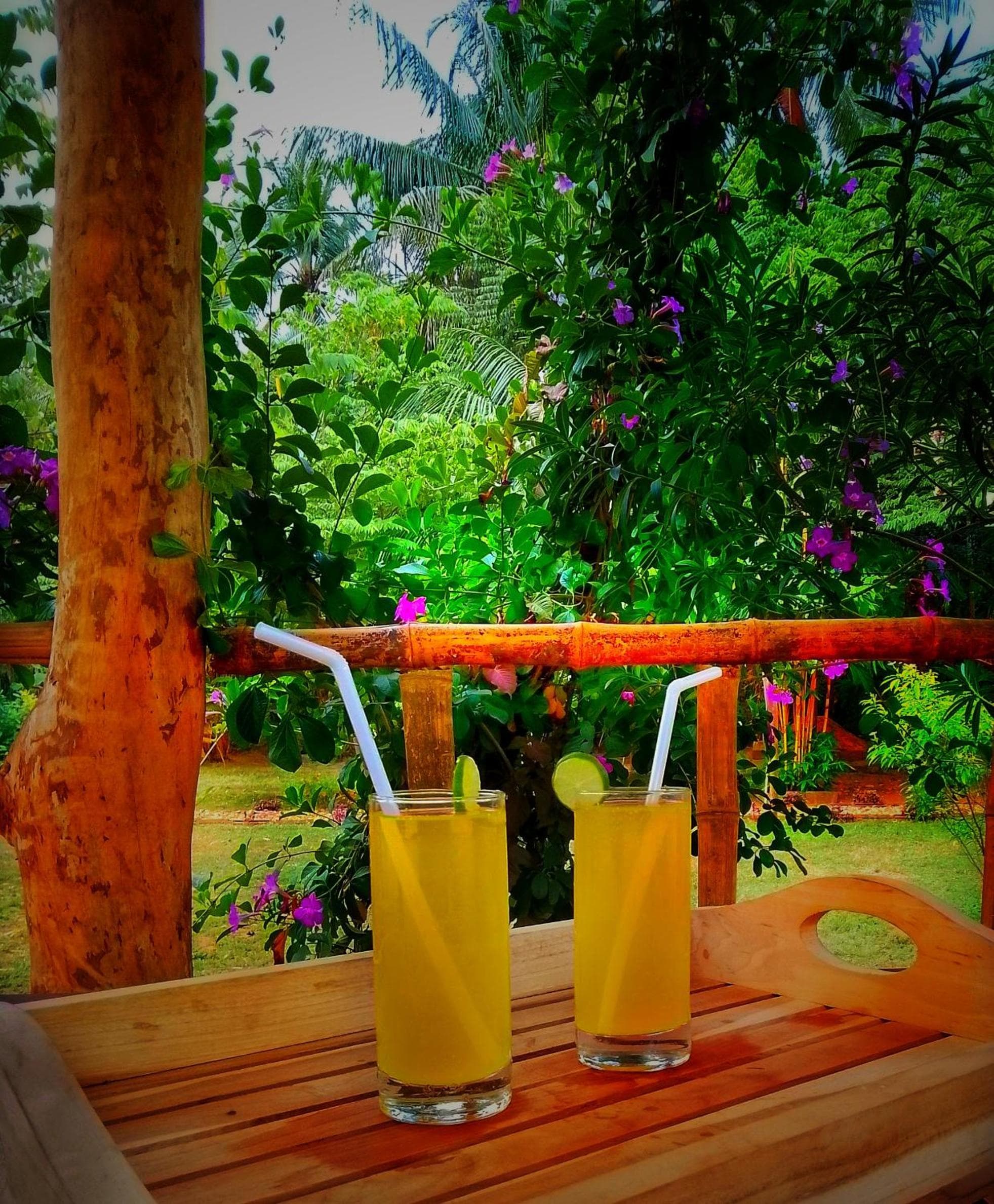 Banana Shade Cottage photo 2