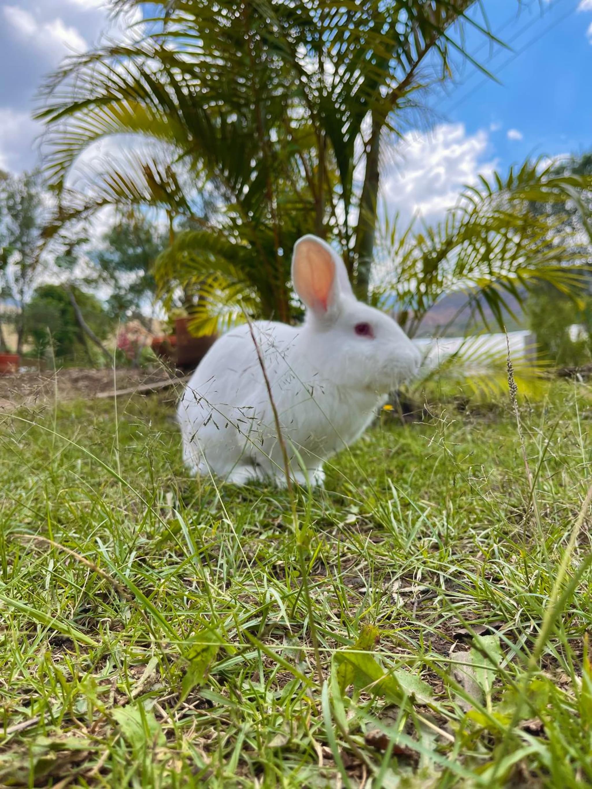 VoyAca Hotel - Alfareria photo 5