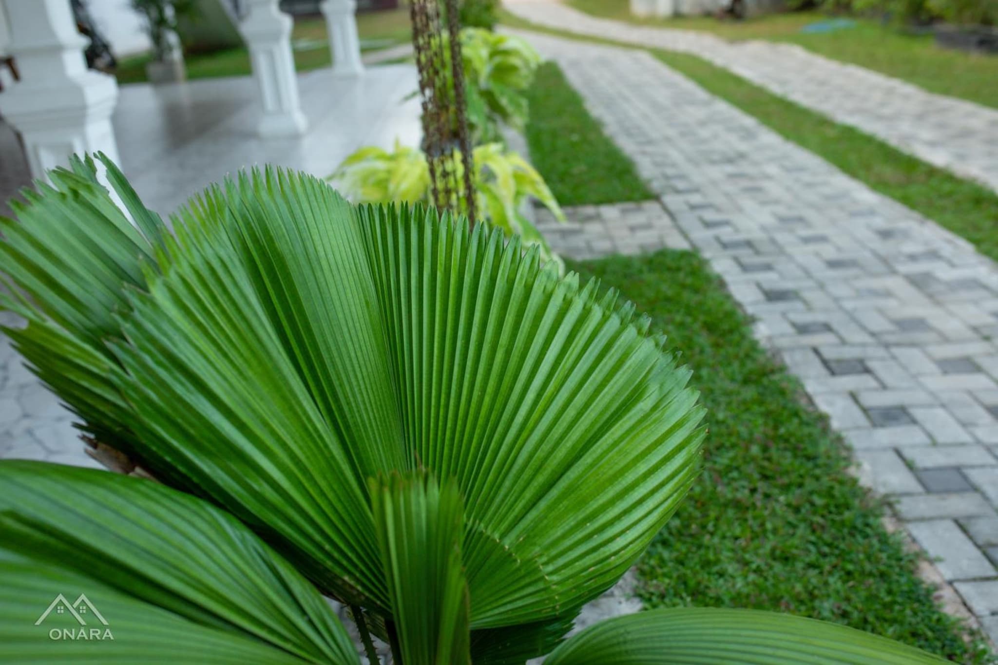 Onara Guest photo 3