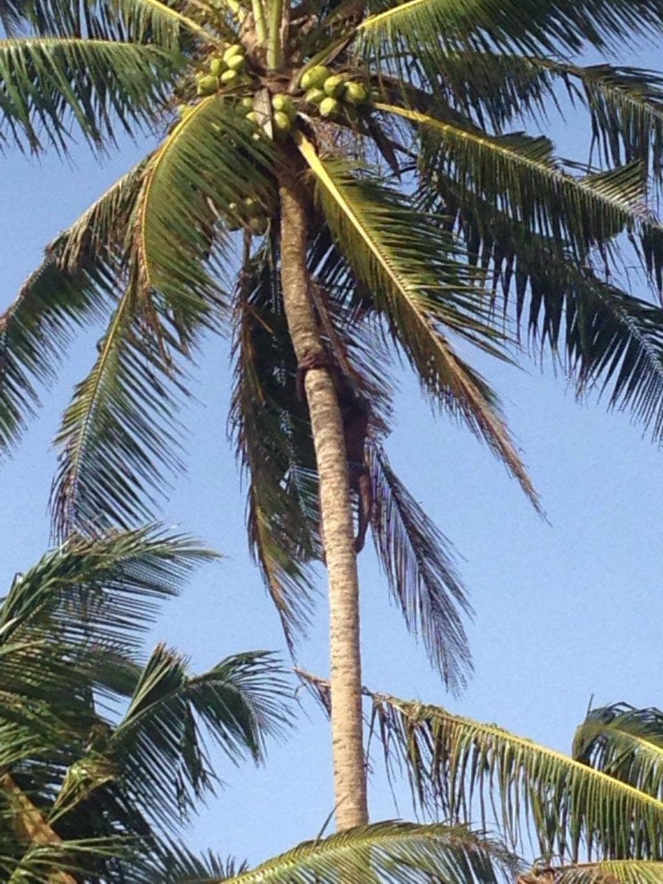 Relax Beach Resort photo 2