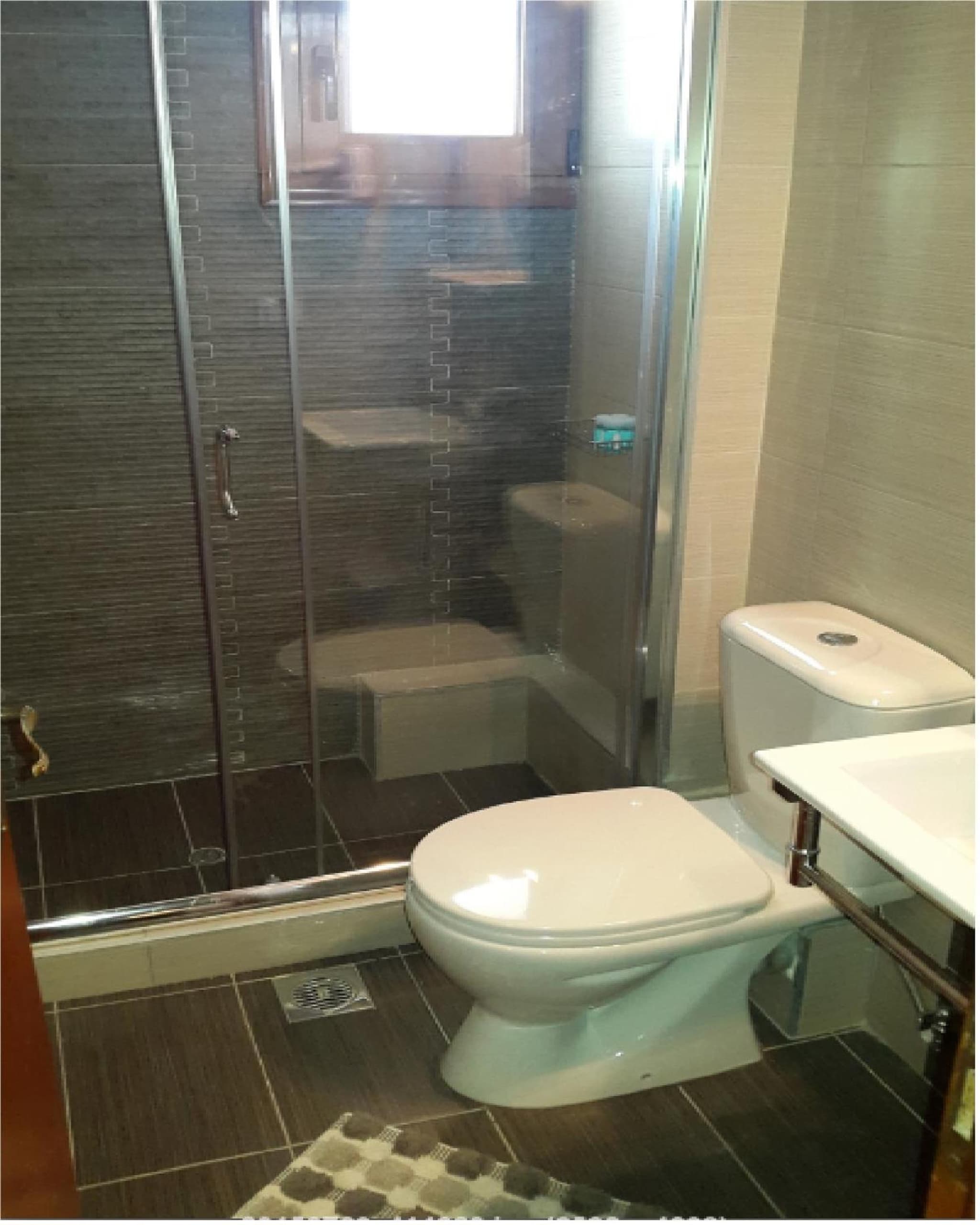 Domus Inn photo 6
