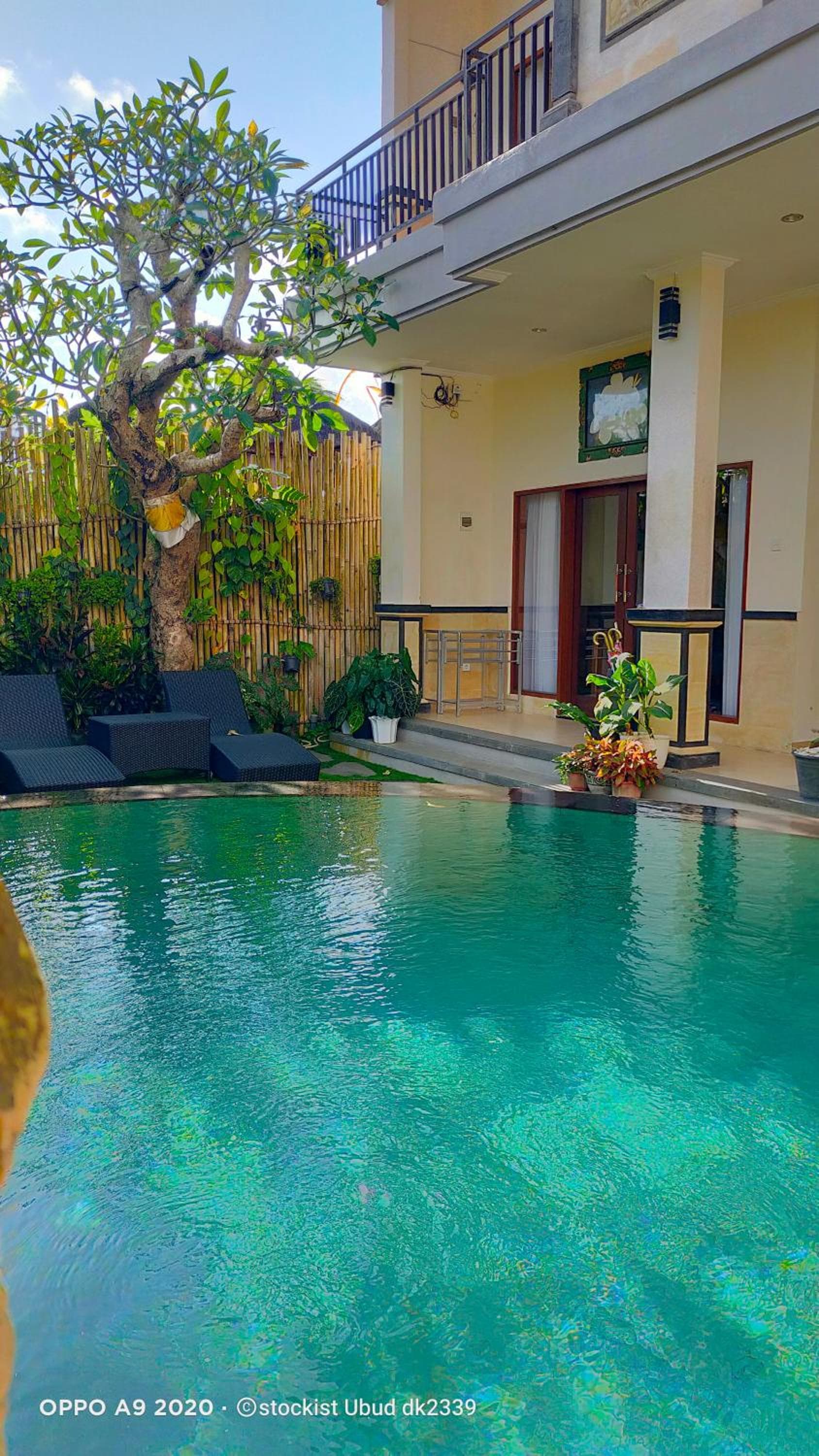 DANU HOUSE UBUD photo 6