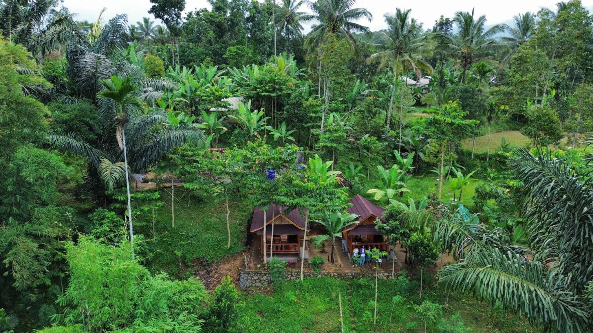 Serenity Lodge Tetebatu Lombok photo 9