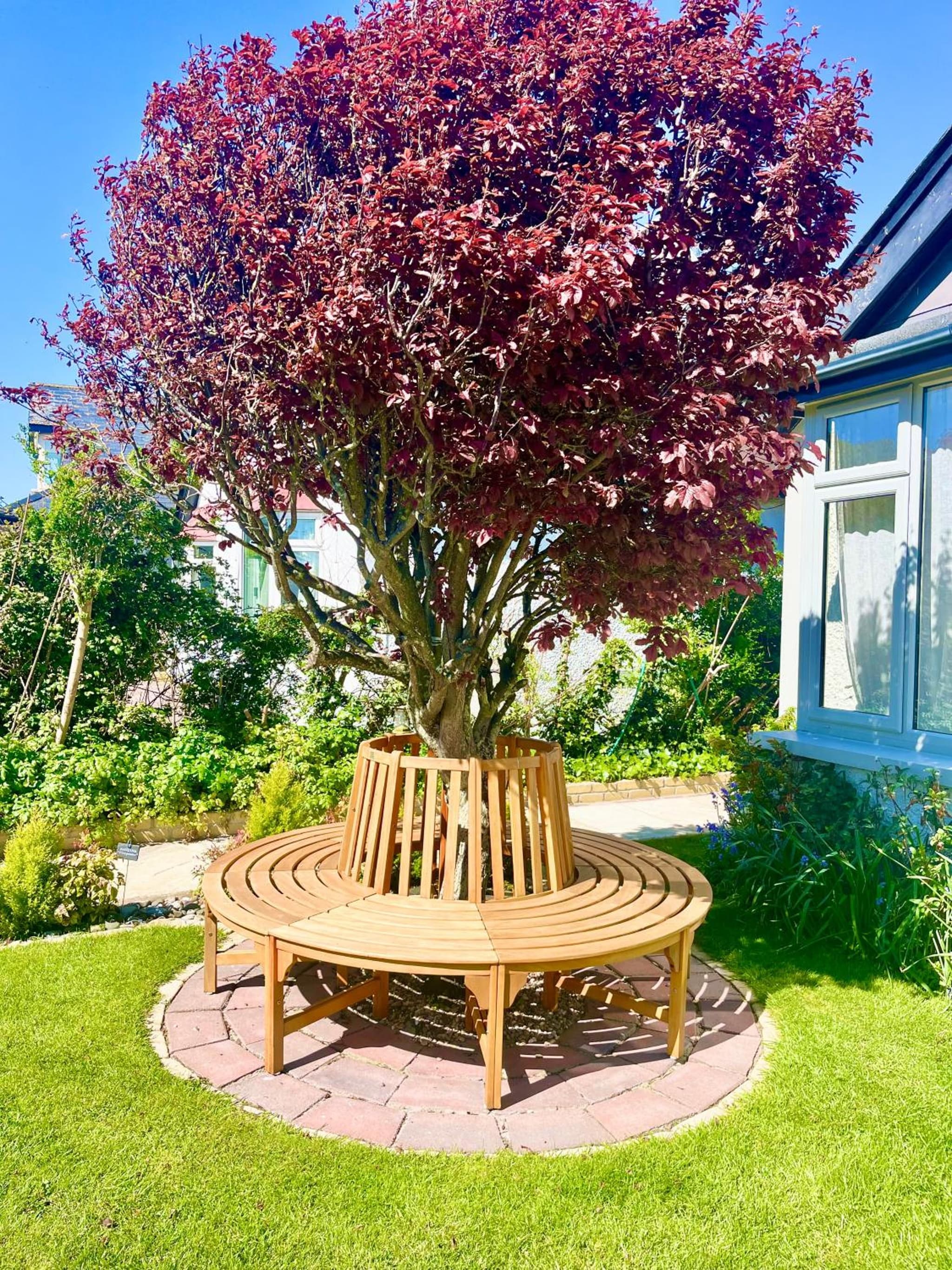 The Artist Residence Dublin Boutique B&B photo 6