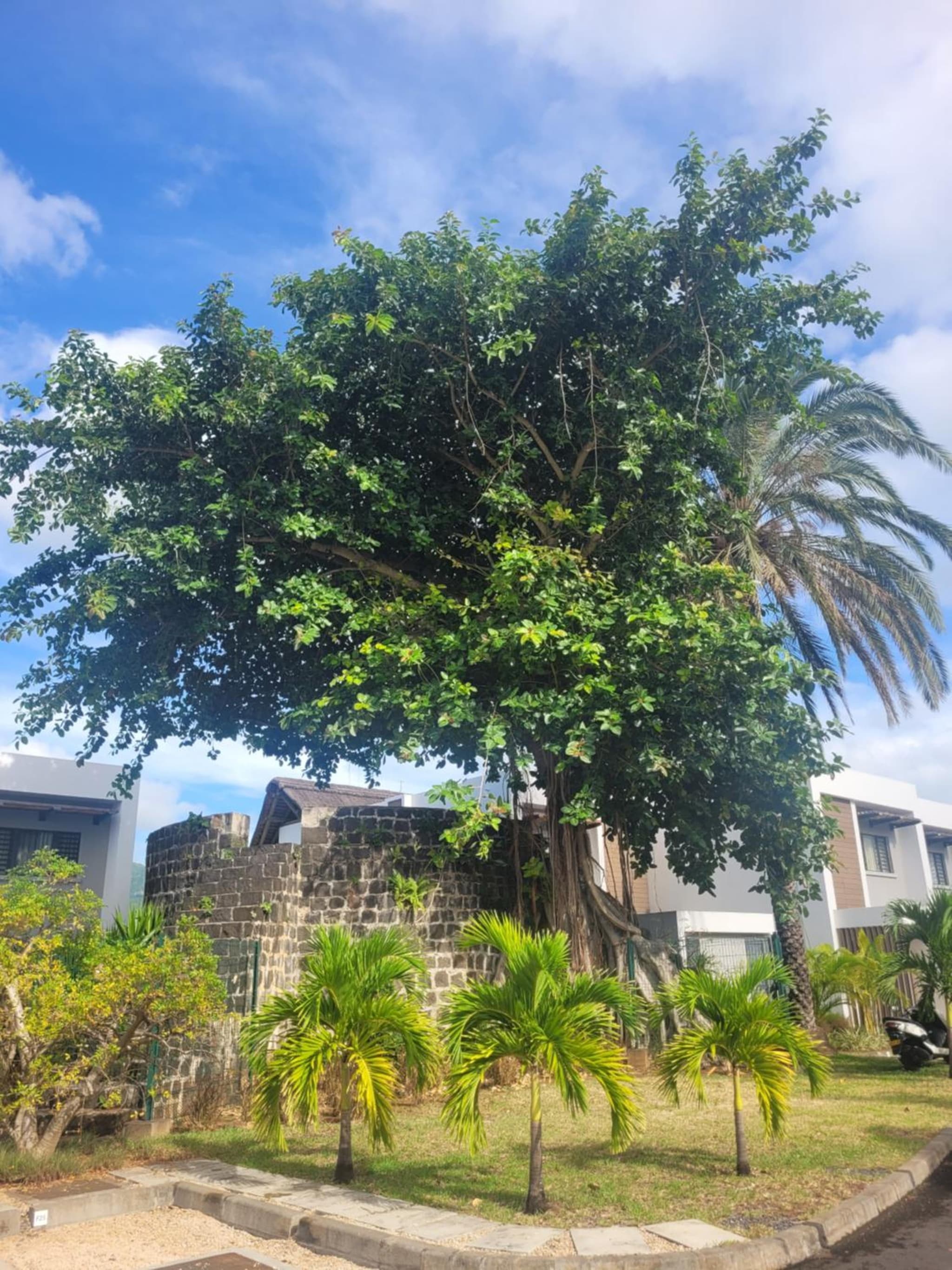 La Mivoie Beachfront with Private Pool photo 9