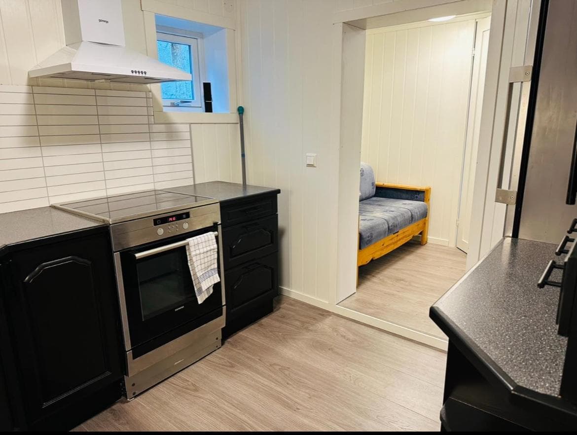 Aurora dream photo 6
