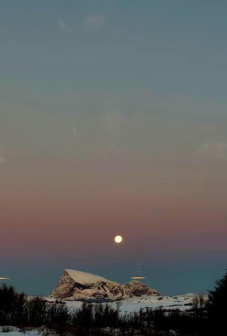 Cabin Aurora Borealis photo 2
