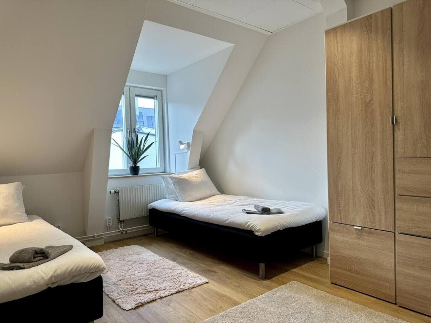 Attic Hostel photo 4