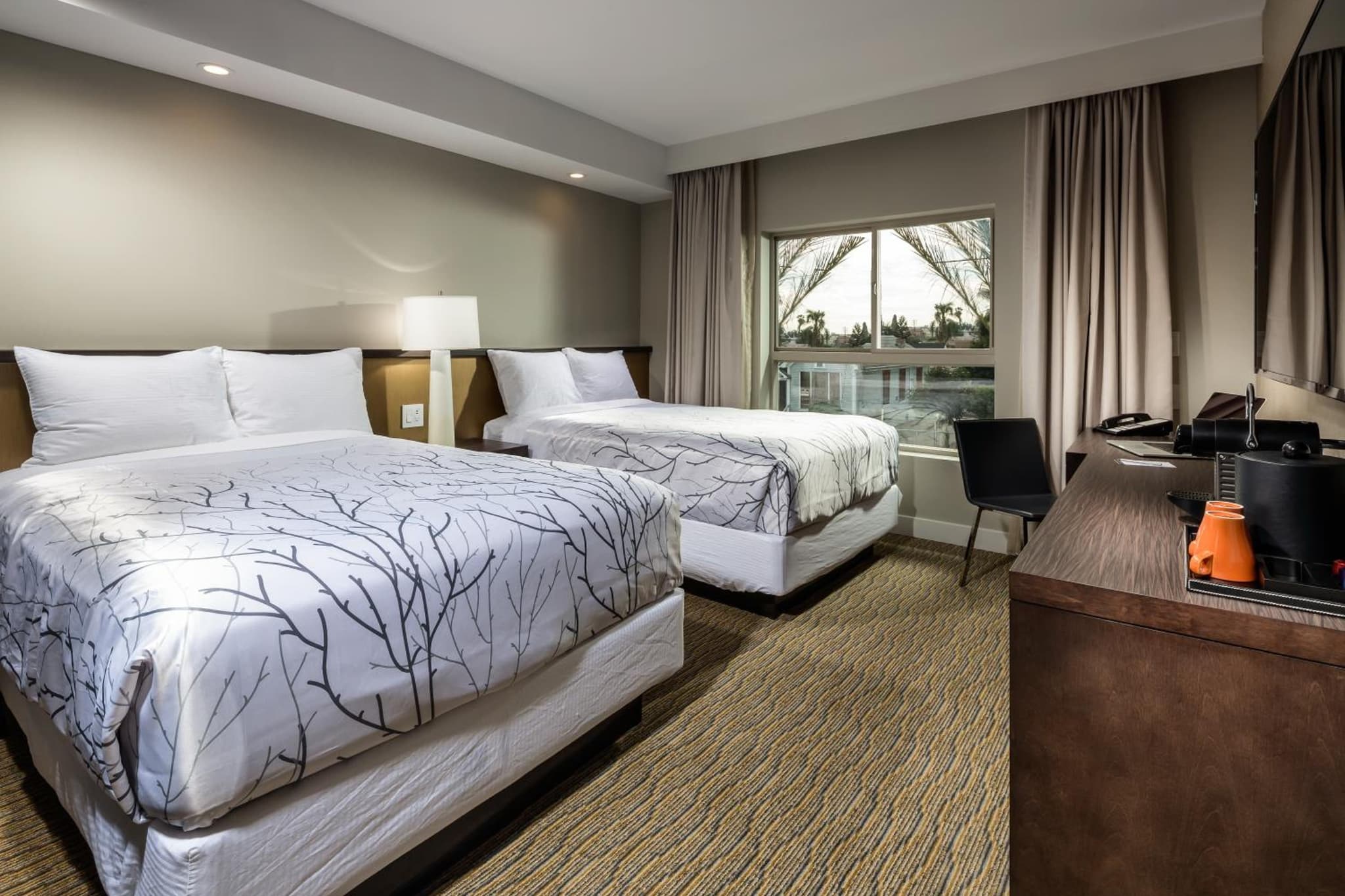 Hotel Aventura photo 2